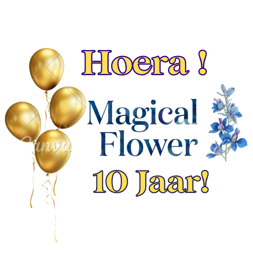 jubileum| Magical Flower| bloemenstyling|bruidsbloemen specialist|florist|zzp| freelancer| Droogbloemen specialist| Droogbloemen webshop |workshops bloemschikken