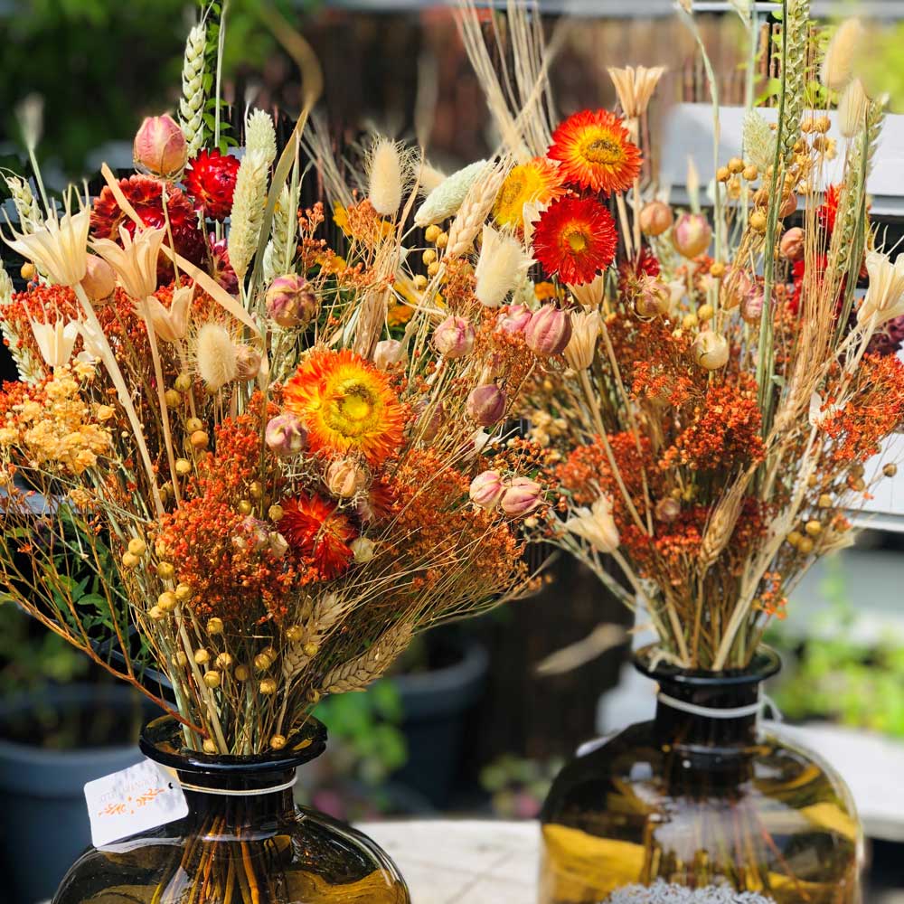 Droogbloemen in vaas