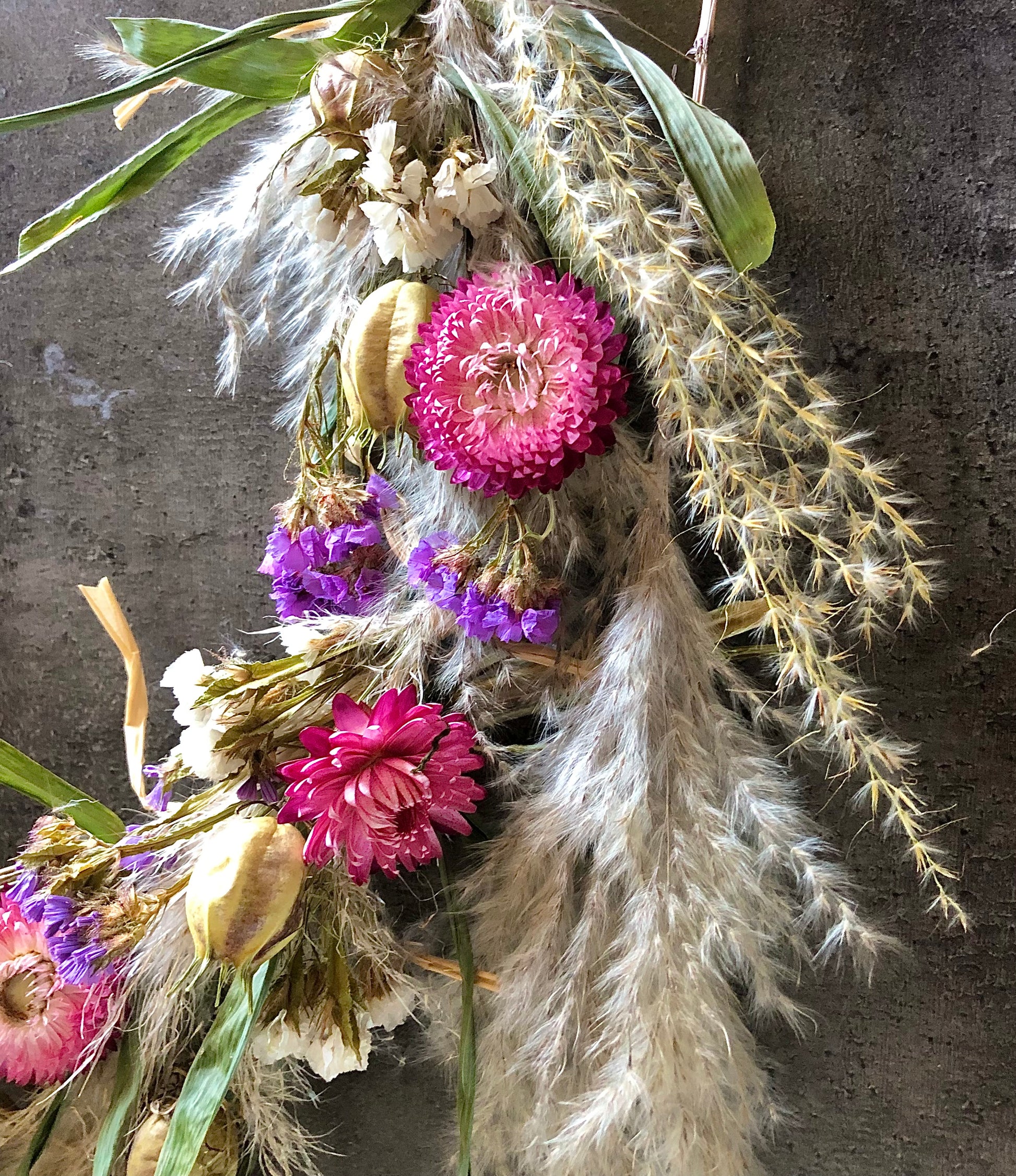 kransvandroogbloemen