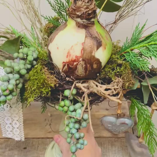 bloemschik pakket| kerstdecoratie maken thuis| diy voorjaar| bloemschikpakket landelijk| bloemschik pakket| amaryllis op kandelaar| magical flower