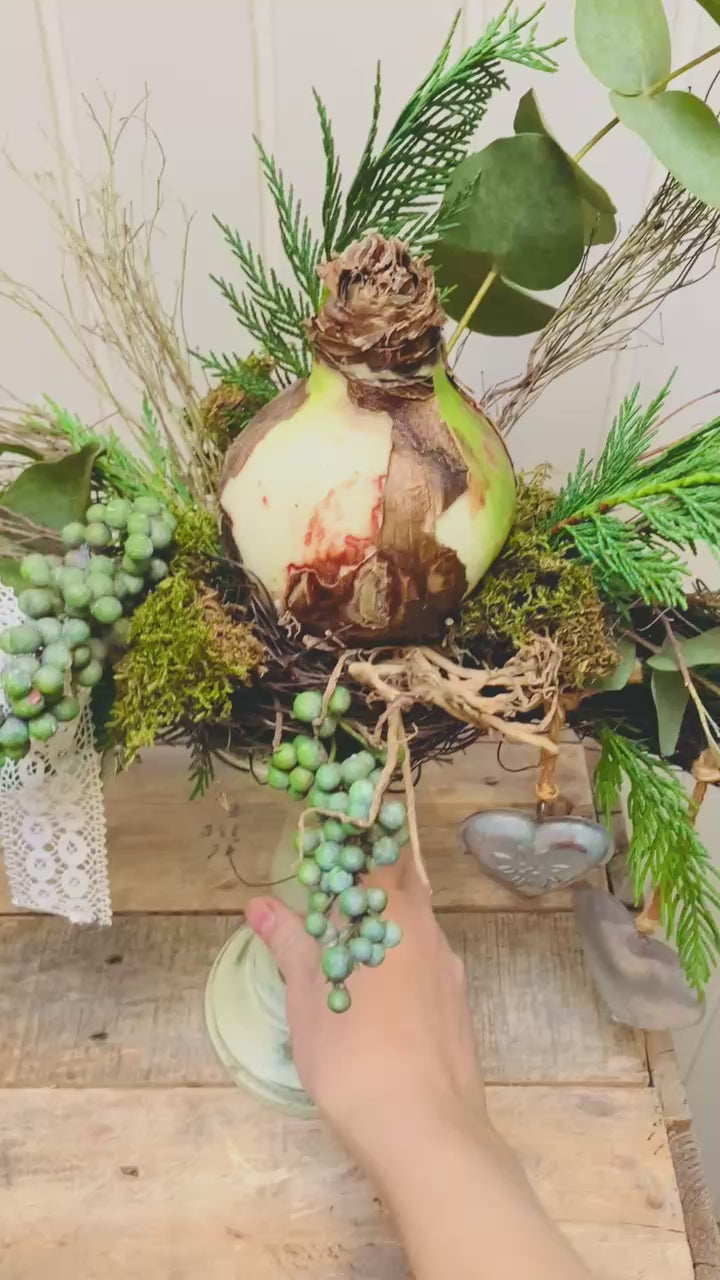 bloemschik pakket| kerstdecoratie maken thuis| diy voorjaar| bloemschikpakket landelijk| bloemschik pakket| amaryllis op kandelaar| magical flower