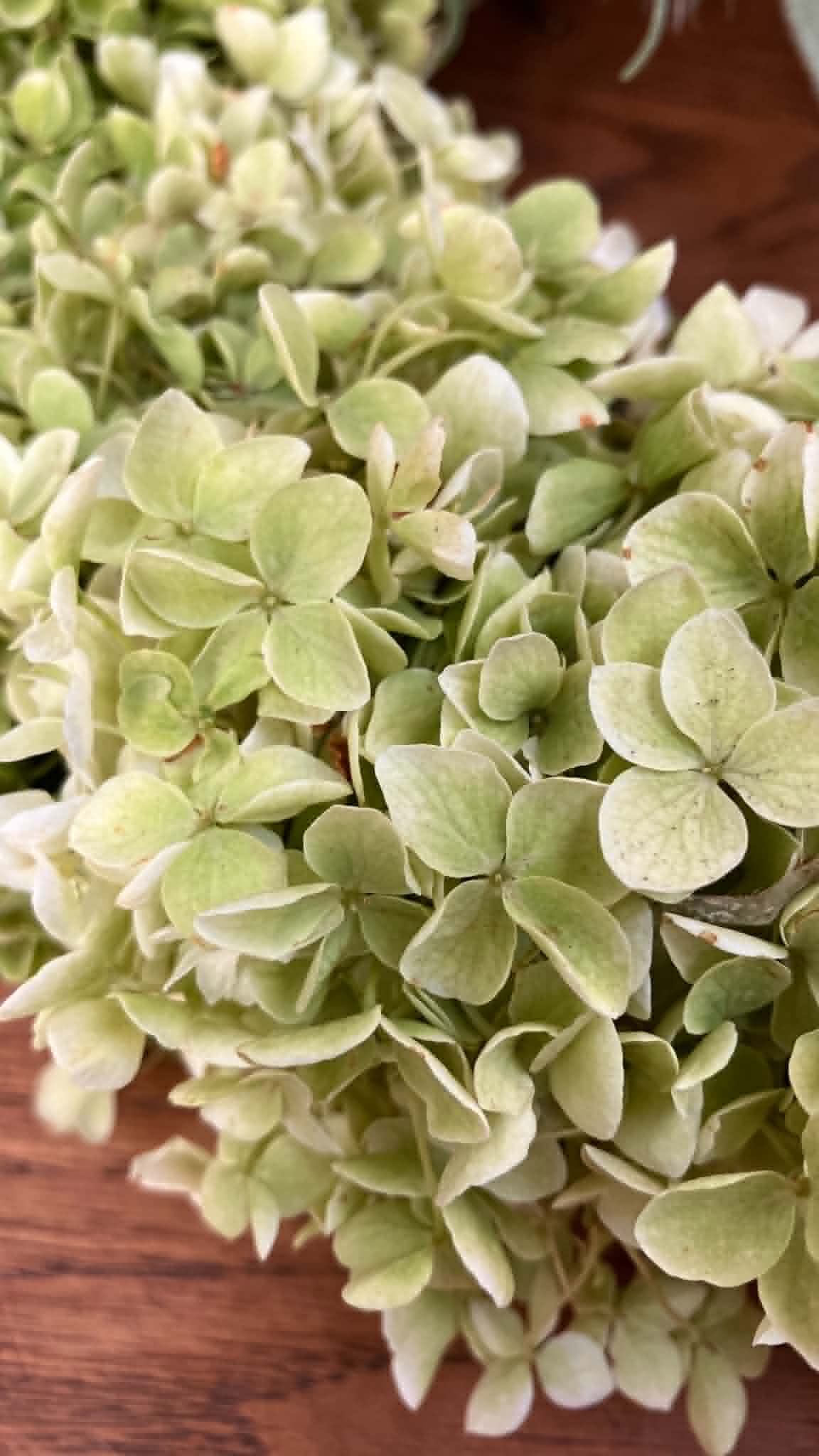 Workshop Hortensia Krans