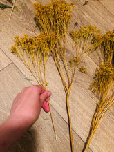 Afbeelding in Gallery-weergave laden, Hoe maak je een droogbloemen boeket? | DIY|  Bloemschik pakket  | Vul je eigen vaas
